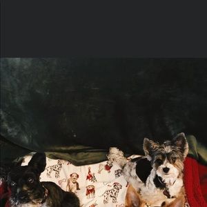 Meet your Posher, Carmen